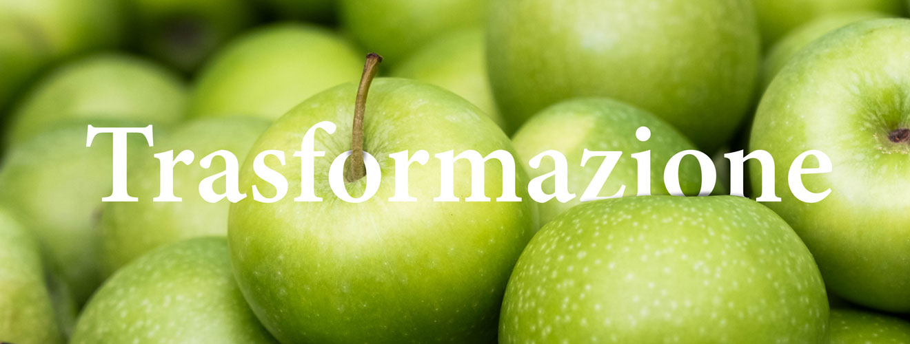 Trasformazione frutta - Bargiolina