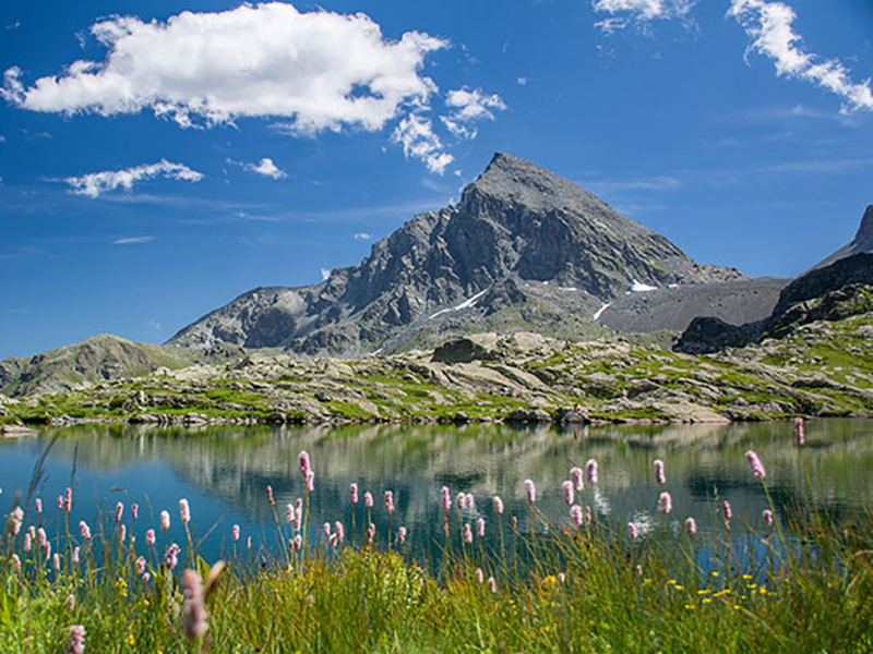 Il nostro territorio- monviso