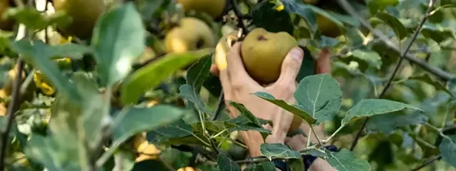I nostri valori: intro