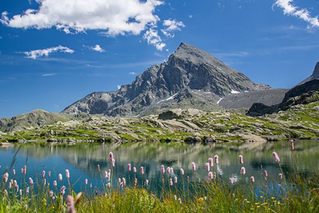 Il nostro territorio- monviso